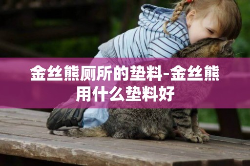 金絲熊廁所的墊料-金絲熊用什么墊料好