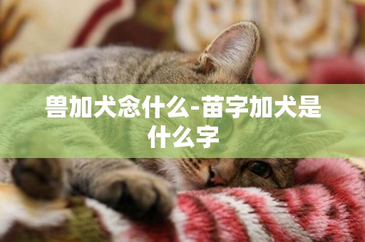 獸加犬念什么-苗字加犬是什么字