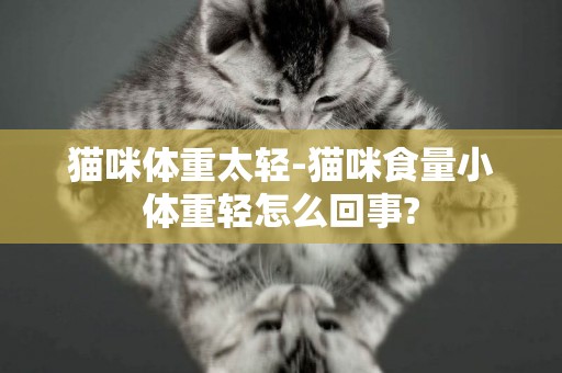 貓咪體重太輕-貓咪食量小體重輕怎么回事?
