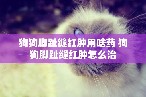 狗狗腳趾縫紅腫用啥藥 狗狗腳趾縫紅腫怎么治