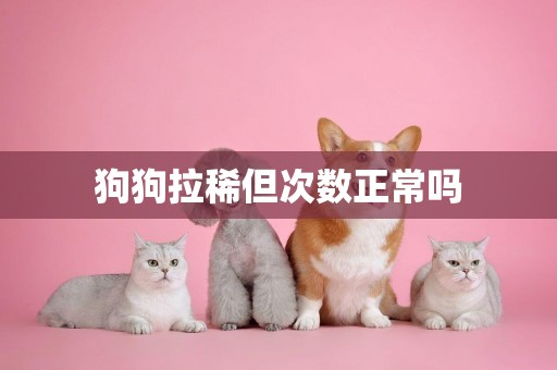 狗狗拉稀但次數正常嗎