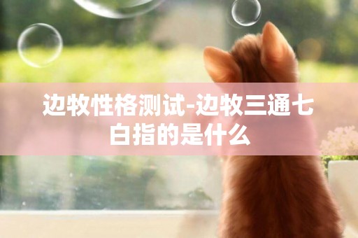 邊牧性格測試-邊牧三通七白指的是什么