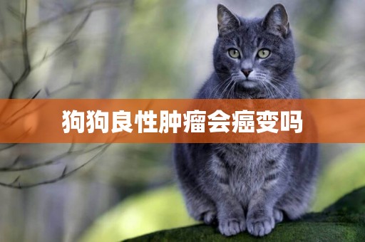 狗狗良性腫瘤會癌變嗎