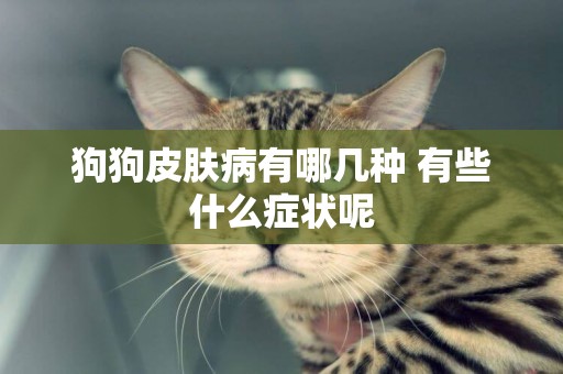 狗狗皮膚病有哪幾種 有些什么癥狀呢