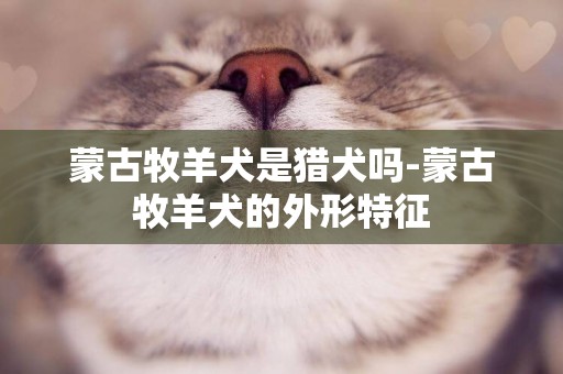 蒙古牧羊犬是獵犬嗎-蒙古牧羊犬的外形特征