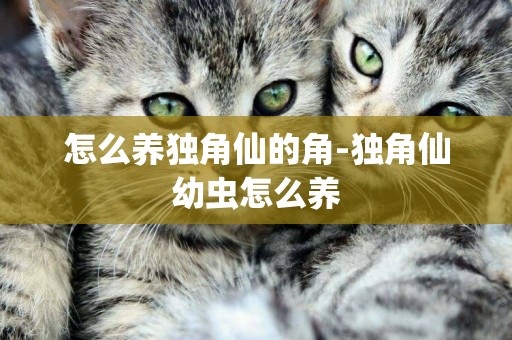 怎么養獨角仙的角-獨角仙幼蟲怎么養
