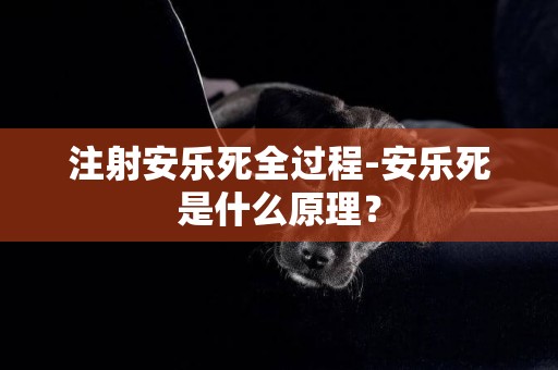 注射安樂死全過程-安樂死是什么原理？