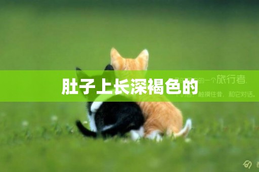 肚子上長深褐色的