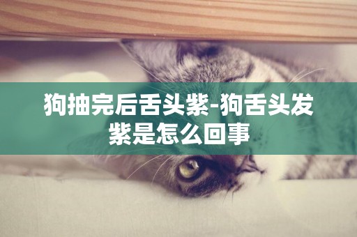 狗抽完后舌頭紫-狗舌頭發紫是怎么回事