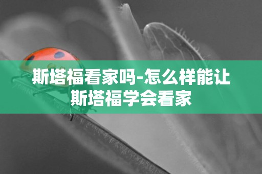斯塔福看家嗎-怎么樣能讓斯塔福學會看家