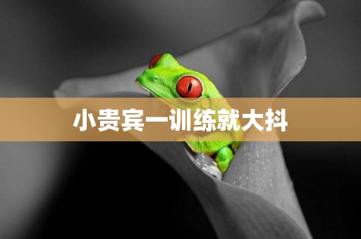 小貴賓一訓練就大抖