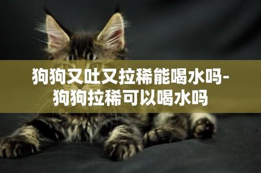 狗狗又吐又拉稀能喝水嗎-狗狗拉稀可以喝水嗎
