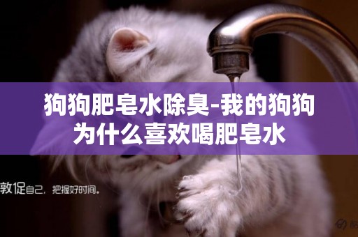 狗狗肥皂水除臭-我的狗狗為什么喜歡喝肥皂水