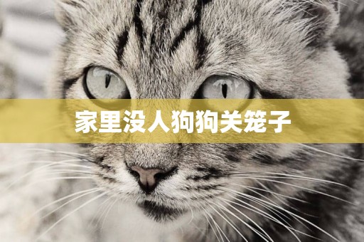 家里沒人狗狗關籠子