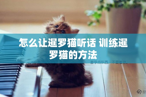 怎么讓暹羅貓聽話 訓練暹羅貓的方法