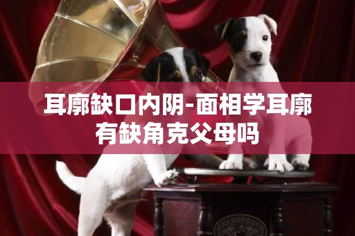 耳廓缺口內陰-面相學耳廓有缺角克父母嗎