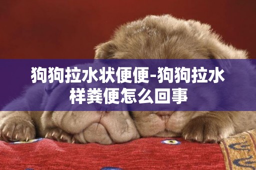 狗狗拉水狀便便-狗狗拉水樣糞便怎么回事