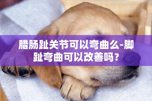 臘腸趾關節可以彎曲么-腳趾彎曲可以改善嗎？