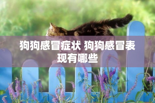 狗狗感冒癥狀 狗狗感冒表現有哪些