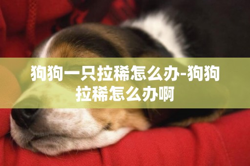 狗狗一只拉稀怎么辦-狗狗拉稀怎么辦啊