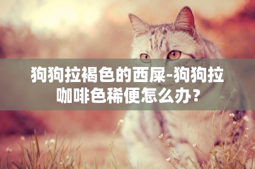 狗狗拉褐色的西屎-狗狗拉咖啡色稀便怎么辦？