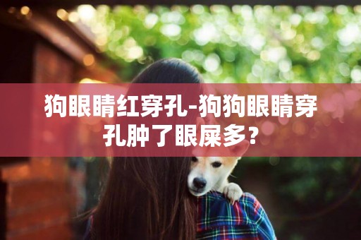 狗眼睛紅穿孔-狗狗眼睛穿孔腫了眼屎多？