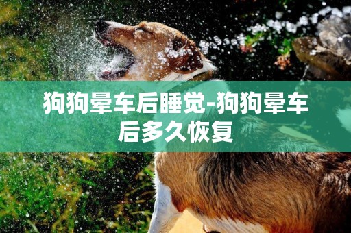 狗狗暈車后睡覺-狗狗暈車后多久恢復