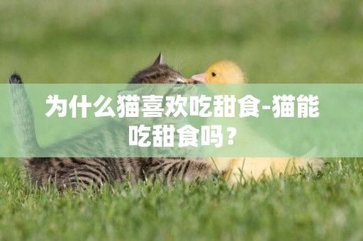 為什么貓喜歡吃甜食-貓能吃甜食嗎？