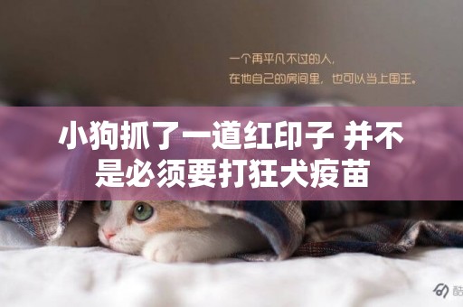 小狗抓了一道紅印子 并不是必須要打狂犬疫苗