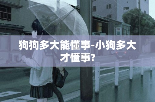 狗狗多大能懂事-小狗多大才懂事?