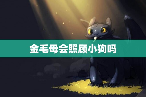 金毛母會照顧小狗嗎