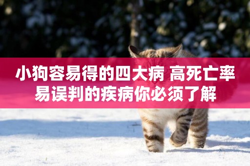 小狗容易得的四大病 高死亡率易誤判的疾病你必須了解