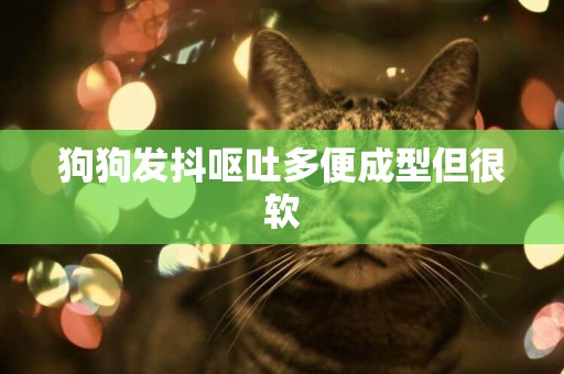 狗狗發抖嘔吐多便成型但很軟