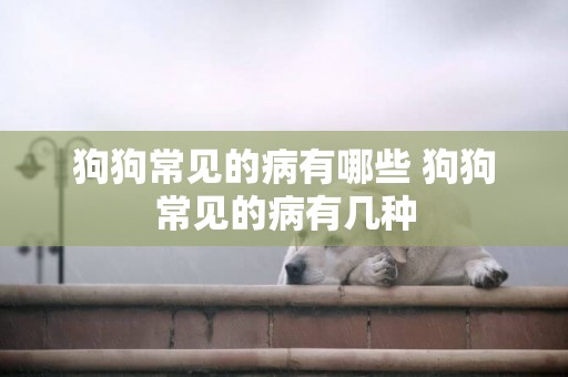 狗狗常見的病有哪些 狗狗常見的病有幾種