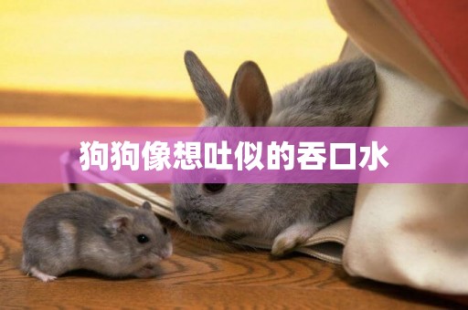 狗狗像想吐似的吞口水