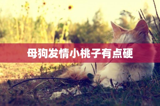 母狗發情小桃子有點硬