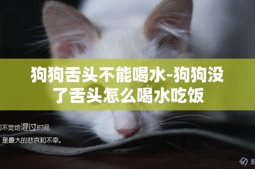 狗狗舌頭不能喝水-狗狗沒了舌頭怎么喝水吃飯