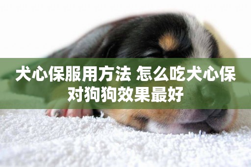 犬心保服用方法 怎么吃犬心保對狗狗效果最好