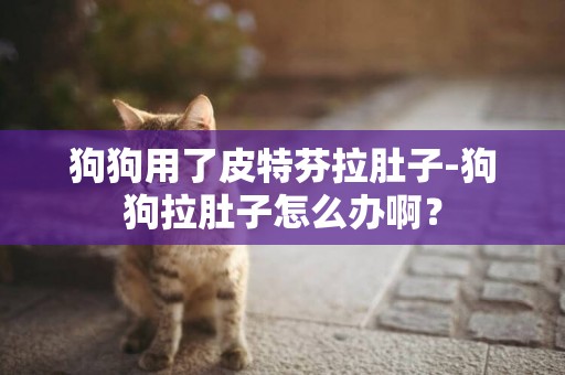 狗狗用了皮特芬拉肚子-狗狗拉肚子怎么辦啊？