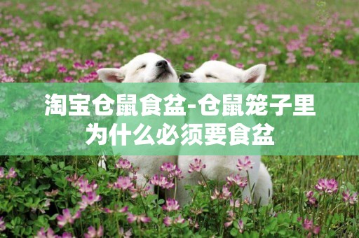 淘寶倉鼠食盆-倉鼠籠子里為什么必須要食盆