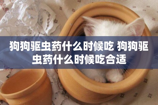 狗狗驅蟲藥什么時候吃 狗狗驅蟲藥什么時候吃合適