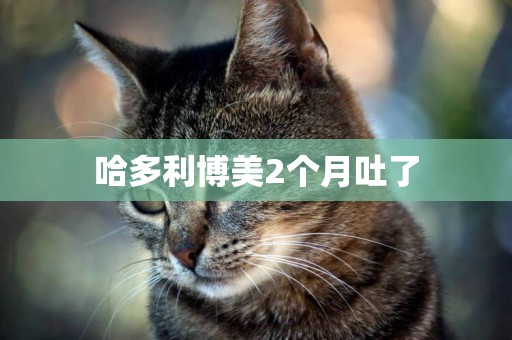 哈多利博美2個月吐了