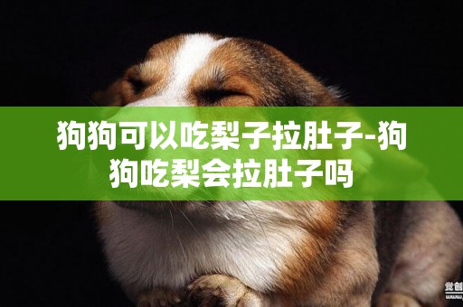 狗狗可以吃梨子拉肚子-狗狗吃梨會拉肚子嗎