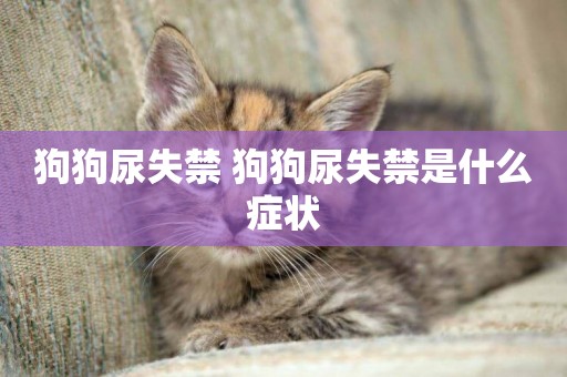 狗狗尿失禁 狗狗尿失禁是什么癥狀
