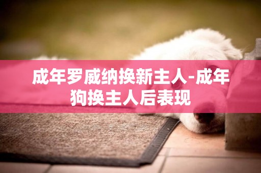 成年羅威納換新主人-成年狗換主人后表現