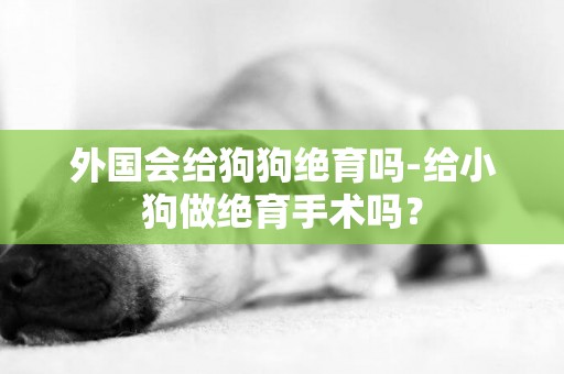 外國會給狗狗絕育嗎-給小狗做絕育手術嗎？