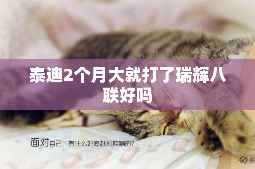 泰迪2個月大就打了瑞輝八聯好嗎