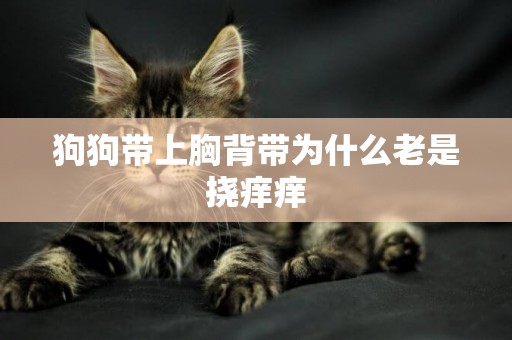 狗狗帶上胸背帶為什么老是撓癢癢