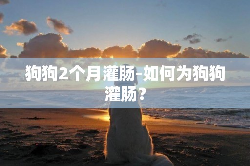 狗狗2個月灌腸-如何為狗狗灌腸？