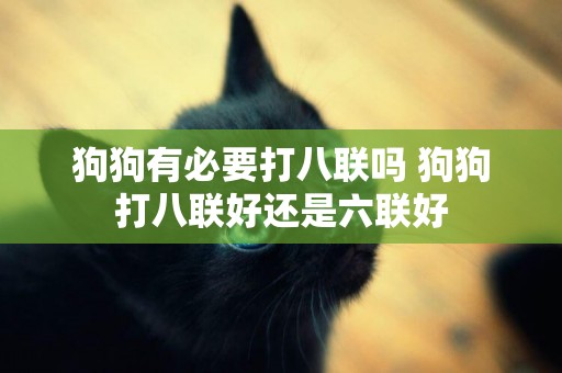 狗狗有必要打八聯嗎 狗狗打八聯好還是六聯好